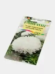 Семена Астра "Антарктида"