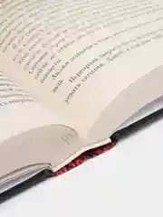 Аспид