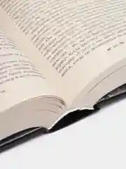 Продажное королевство, Бардуго Л.