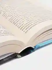 Ведьмак. Кровь эльфов. Час презрения. А. Сапковский