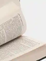 Баллада о змеях и певчих птицах, Сьюзен Коллинз