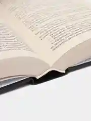 Баллада о змеях и певчих птицах, Сьюзен Коллинз