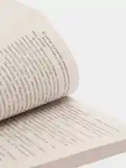 Скорбь Сатаны