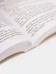 Земля обетованная, Ремарк Э.М.