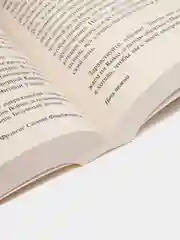 Ночь нежна, Фрэнсис Скотт Фицджеральд