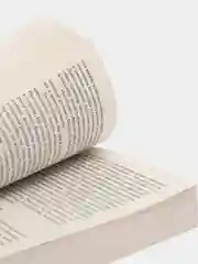 Ночь нежна, Фрэнсис Скотт Фицджеральд