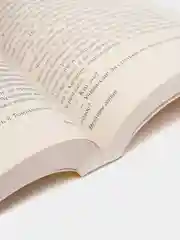 Мемуары гейши. Голден Артур