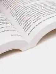 Вы, конечно, шутите, мистер Фейнман!, Ричард Фейнман