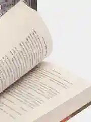 Орудия смерти. Город падших ангелов, Кассандра Клэр