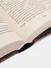 Орудия смерти. Город падших ангелов, Кассандра Клэр
