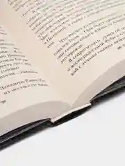 Крах и восход, Бардуго Ли
