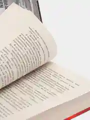 Крах и восход, Бардуго Ли