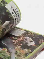 Гигантская детская энциклопедия с дополненной реальностью