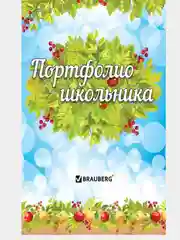 Портфолио школьника BRAUBERG, 16 листов-вкладышей: титульный лист, содержание, 14 разделов