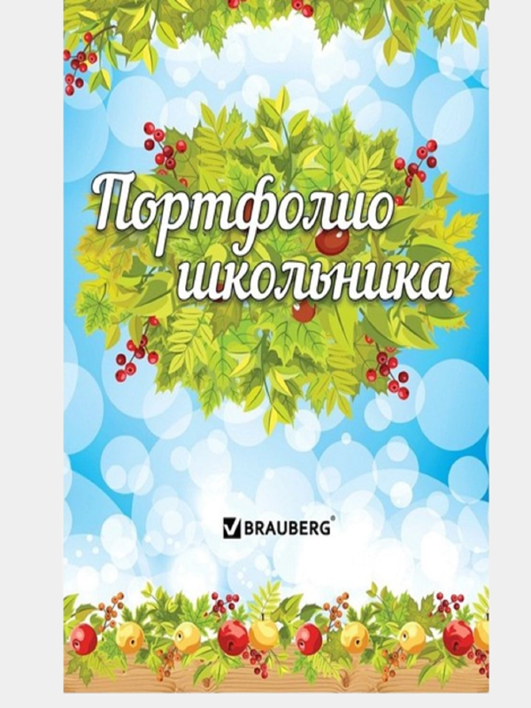 Портфолио школьника BRAUBERG, 16 листов-вкладышей: титульный лист, содержание, 14 разделов