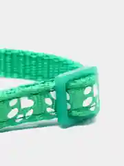 Зеленый ошейник для кошек и маленьких собак разноцветный