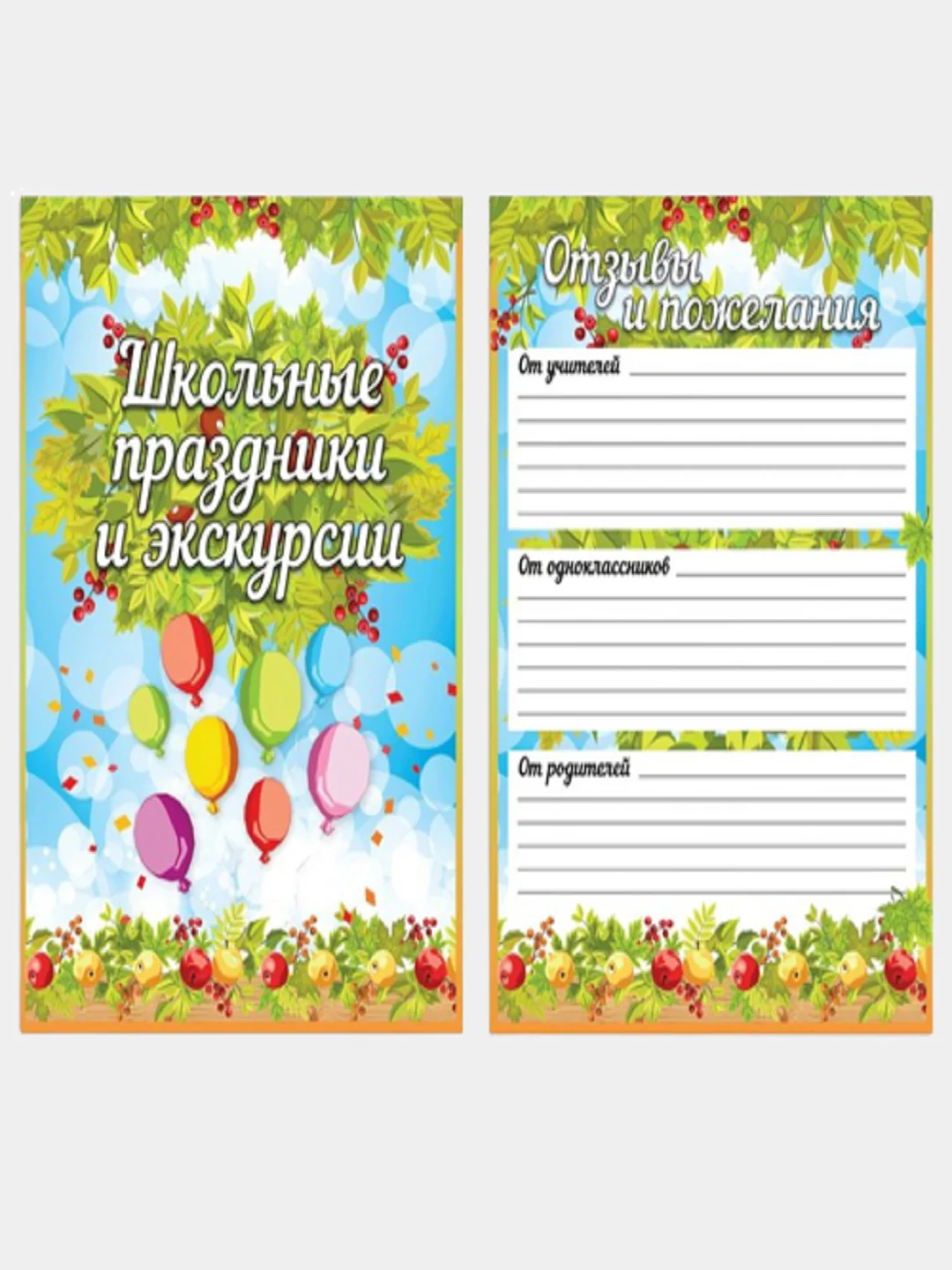 Портфолио школьника BRAUBERG, 16 листов-вкладышей: титульный лист, содержание, 14 разделов