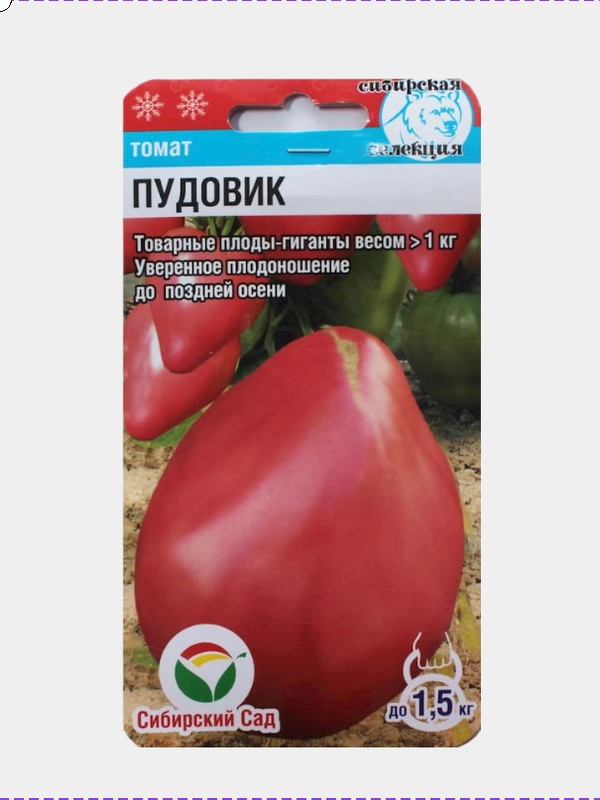 Томат Пудовик плоды до 1 кг. "Сибирский Сад" 20 шт купить по цене 41 ...