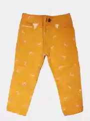 Брюки цветные