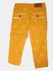 Горчичный брюки цветные