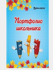Портфолио школьника BRAUBERG, 16 листов-вкладышей: титульный лист, содержание, 14 разделов