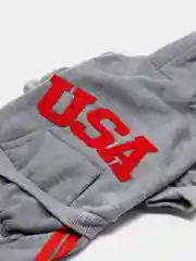 Серый комбинезон для собак "USA"