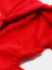 Красный комбинезон для собак "USA"