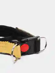 Желтый ошейник капроновый для собак "Strong Dog" Fashion, 25 мм