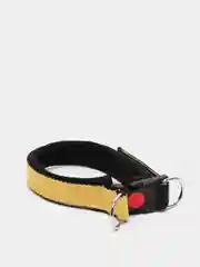 Желтый ошейник капроновый для собак "Strong Dog" Fashion, 25 мм