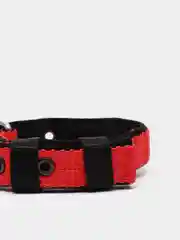 Красный ошейник капроновый для собак "Strong Dog" Regular Premium, 20мм