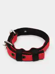 Красный ошейник капроновый для собак "Strong Dog" Regular Premium, 20мм