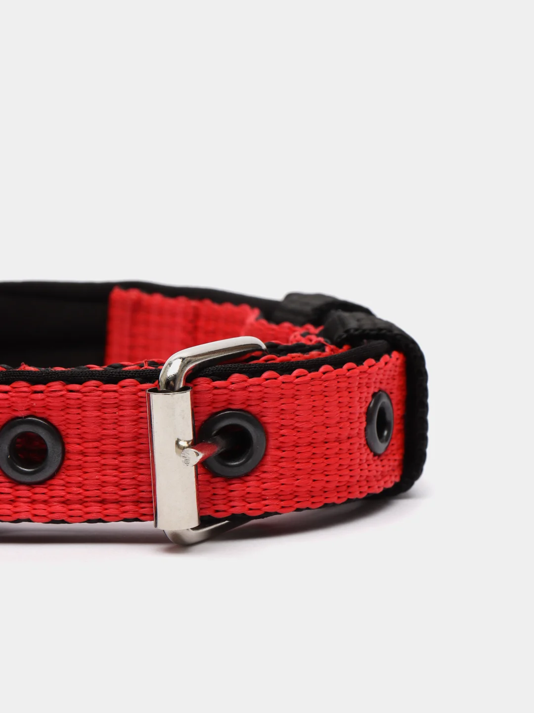Красный ошейник капроновый для собак "Strong Dog" Regular Premium, 20мм