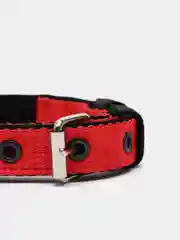 Красный ошейник капроновый для собак "Strong Dog" Regular Premium, 20мм