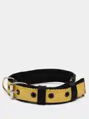 Желтый ошейник капроновый для собак "Strong Dog" Regular Premium, 25мм