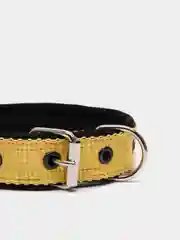 Желтый ошейник капроновый для собак "Strong Dog" Regular Premium, 25мм