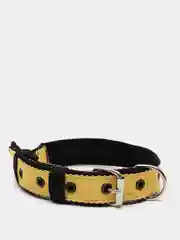 Желтый ошейник капроновый для собак "Strong Dog" Regular Premium, 25мм