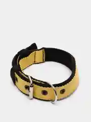 Желтый ошейник капроновый для собак "Strong Dog" Regular Premium, 25мм
