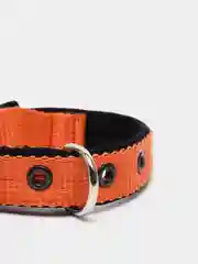 Оранжевый ошейник капроновый для собак "Strong Dog" Regular Premium, 20мм