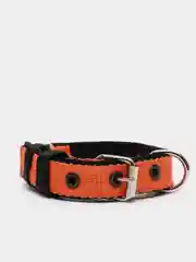 Оранжевый ошейник капроновый для собак "Strong Dog" Regular Premium, 20мм