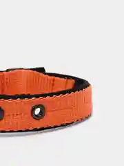 Оранжевый ошейник капроновый для собак "Strong Dog" Regular Premium, 20мм