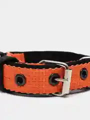 Оранжевый ошейник капроновый для собак "Strong Dog" Regular Premium, 20мм