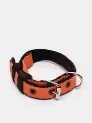 Оранжевый ошейник капроновый для собак "Strong Dog" Regular Premium, 20мм