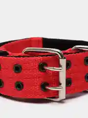 Красный ошейник для собак капроновый "Strong Dog" Regular Premium, 45мм