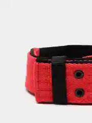 Красный ошейник для собак капроновый "Strong Dog" Regular Premium, 45мм