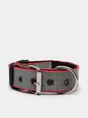 Серый ошейник капроновый для собак "Strong Dog" Regular Premium, 35мм
