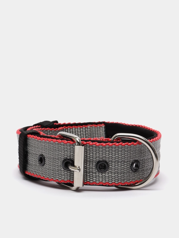 Ошейник капроновый для собак "Strong Dog" Regular Premium, 35мм
