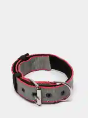 Серый ошейник капроновый для собак "Strong Dog" Regular Premium, 35мм