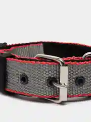 Серый ошейник капроновый для собак "Strong Dog" Regular Premium, 35мм