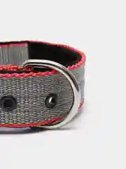 Серый ошейник капроновый для собак "Strong Dog" Regular Premium, 35мм