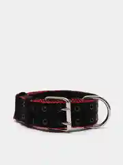 Черный ошейник для собак капроновый "Strong Dog" Regular Premium, 45мм